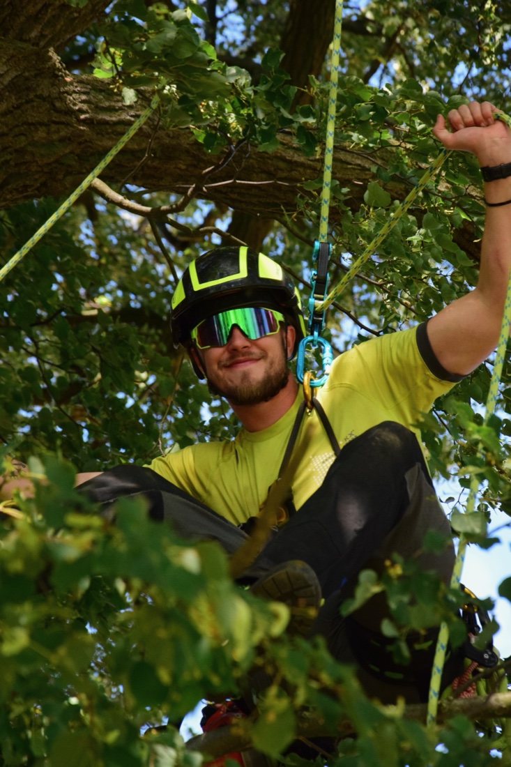 Matěj Faltys, vystudovaný arborista