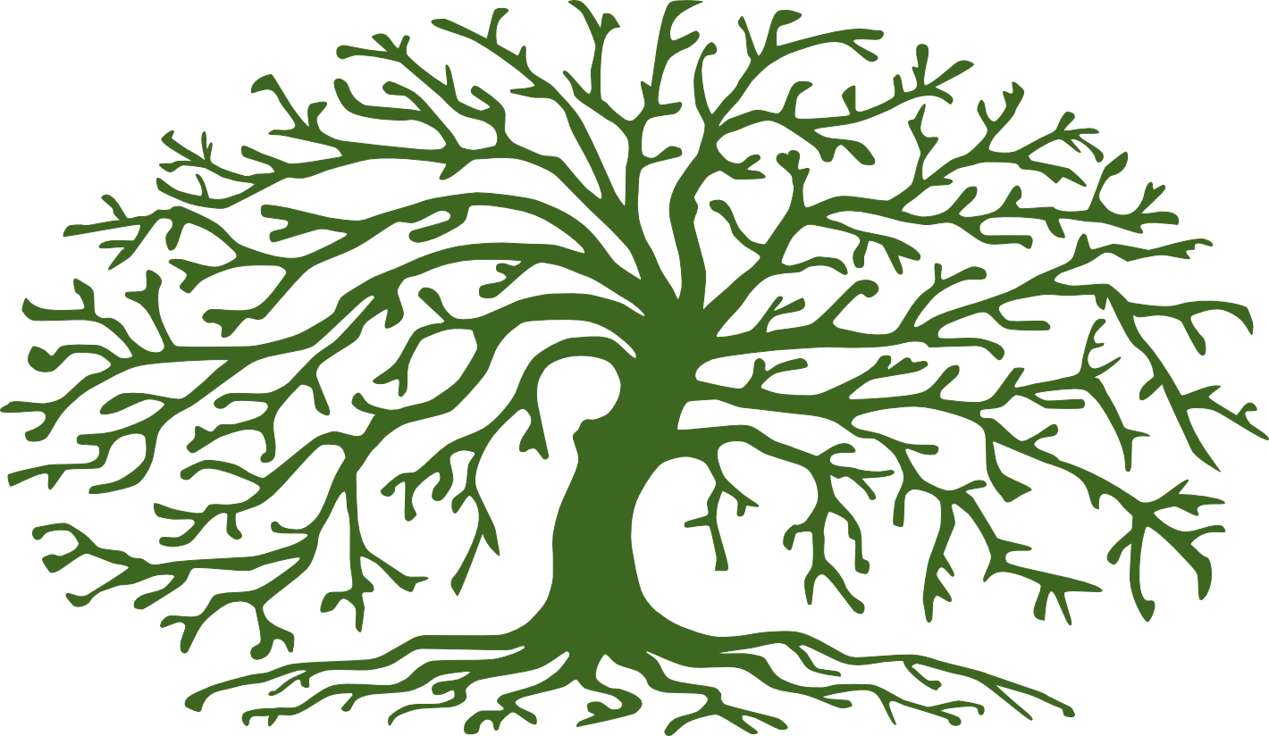 Matěj Faltys · Arboristika